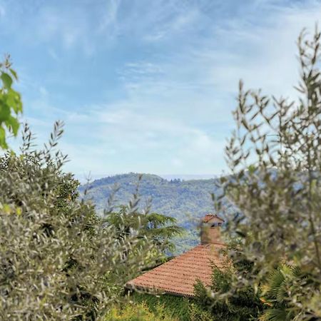 Elegante Appartamento Con Vista - Colli Euganei Teolo Buitenkant foto