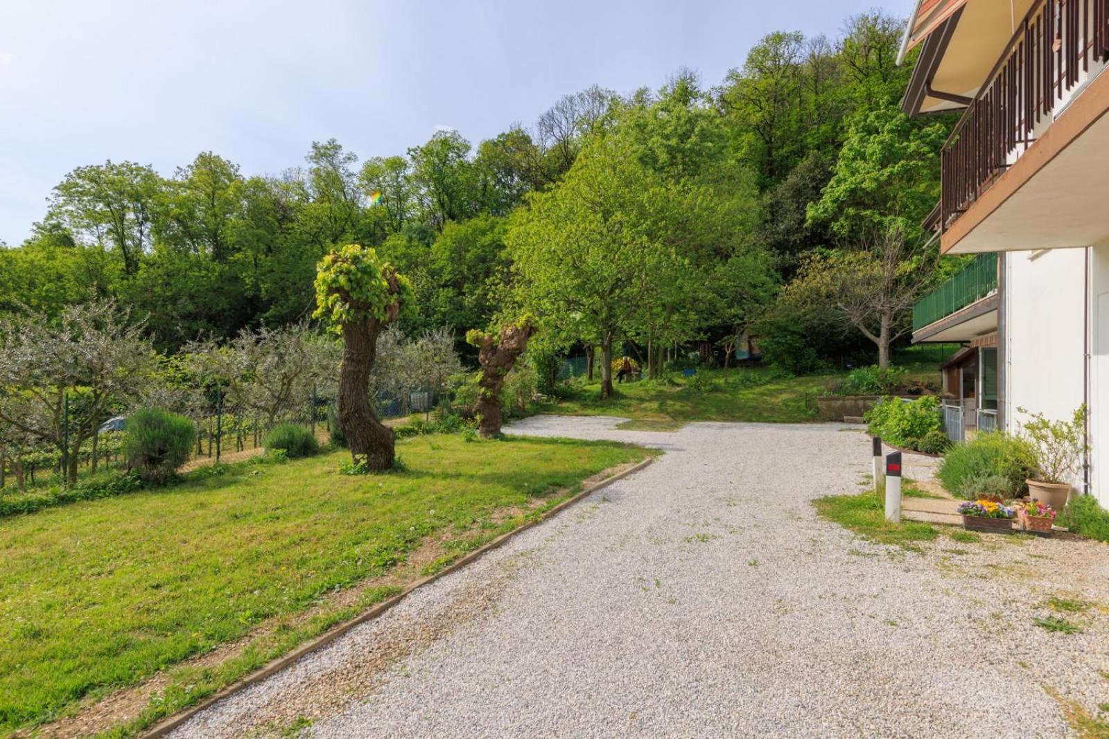 Elegante Appartamento Con Vista - Colli Euganei Teolo Buitenkant foto